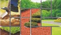 Obrzeże Trawnikowe Faliste 25cm x 9m Zieleń GF Garden