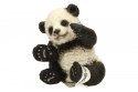 Mała Panda bawiąca się
