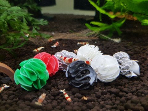 Baby Shrimp Shelters Czerwony 20 szt