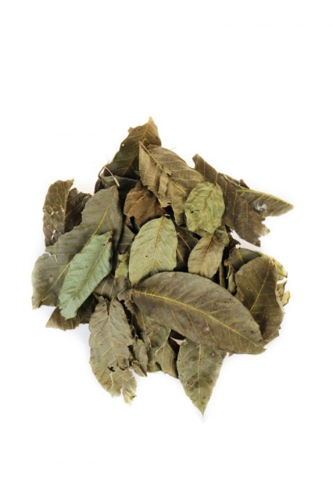 Deep Aqua Liście Orzecha Wiosennego 1L