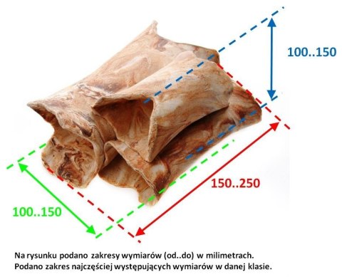 Rurkobloczek Duży Jasny