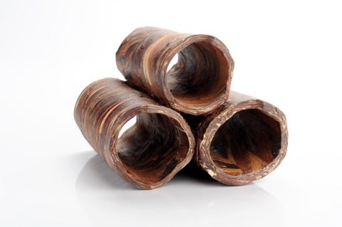 Rurkobloczek Wielki Ciemny