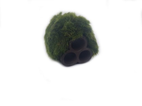 Gałęzatka Na Rurkobloczku Mikro 3-Rurki 40x30x30mm Naturalna Ozdoba