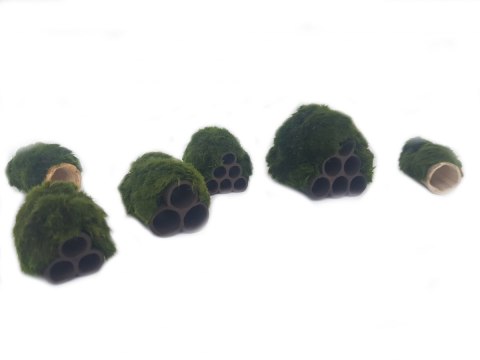 Gałęzatka Na Rurkobloczku Mikro 3-Rurki 40x30x30mm Naturalna Ozdoba