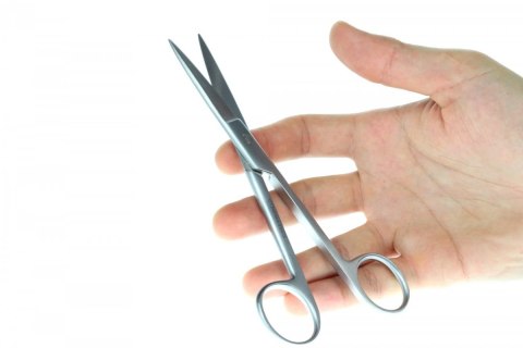 Nożyczki Akwarystyczne Proste 11 Cm Do Mchów Precyzyjne