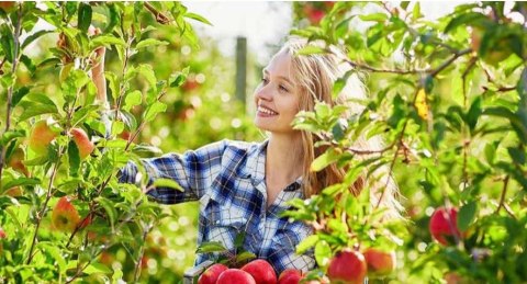 Opryskiwacz Ciśnieniowy Plecakowy Titan 16L Marolex