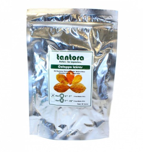Tantora Cattapa Leaves Liście Ketapang M 50Szt.