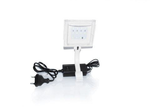 Leecom Lampka Oświetleniowa LQ-109 3W Biała