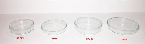 Deep Aqua Szklany Karmnik Karmidło Krewetki 42/12mm