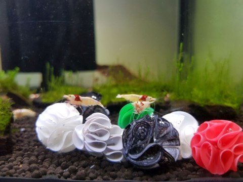 Baby Shrimp Shelters Biały 1 szt super schronienie