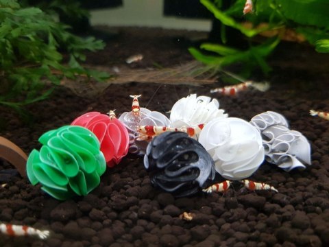 Baby Shrimp Shelters Szary 1 szt super schronienie