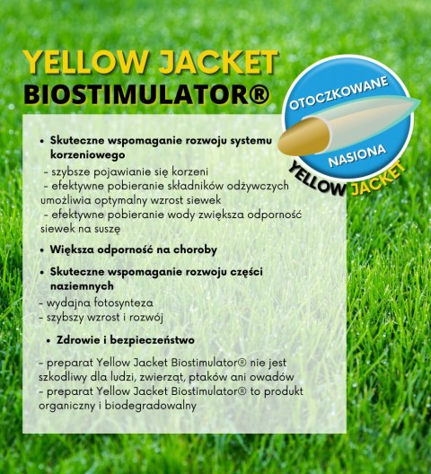 Trawa Na Ekstremalne Warunki Barenbrug Tough & Easy Resilent Blue 15kg