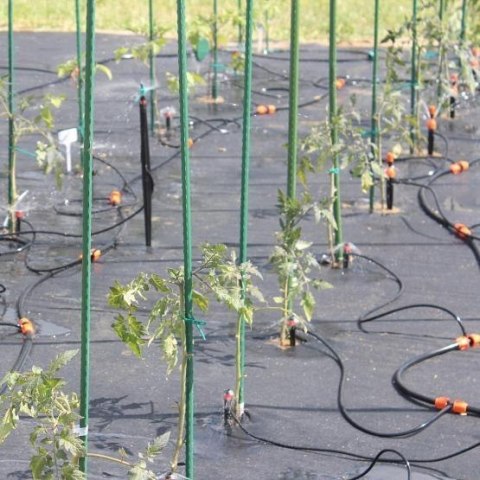 Zestaw do Nawadniania Roślin z Kroplownikami