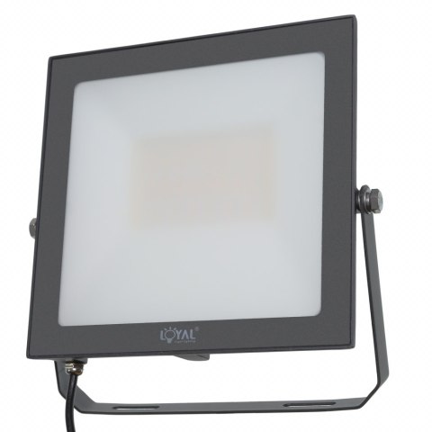 LAMPA Zew. LED Loyal Lighting 14500lm LUMILEDS IP65 4K