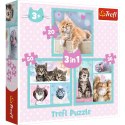 Puzzle 3w1 Słodkie zwierzaki kotki