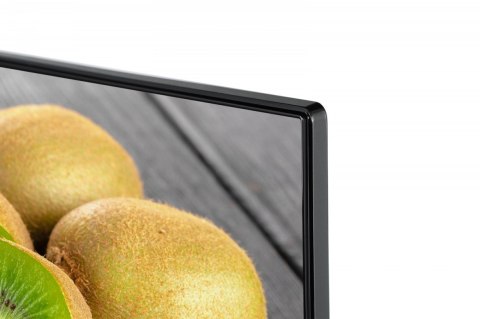 Telewizor LED 55 cali 55UA5D63DG