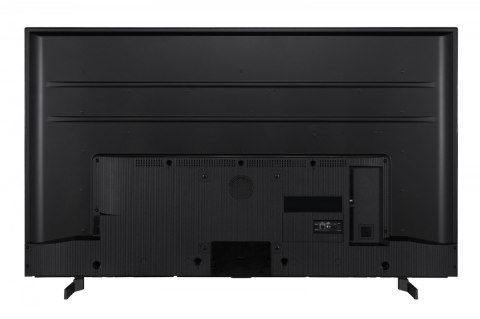 Telewizor LED 55 cali 55UA5D63DG