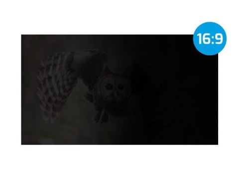Filtr prywatyzujący RODO Owl 21.5 cala 16:9