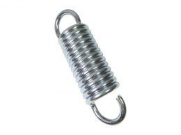 Sprężyna do worka SW