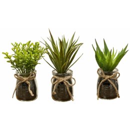 Komplet 3 roślin doniczkowych Eloise Wykonane z wysokiej jakości tworzywa sztucznego, w przezroczystych doniczkach, naturalny wy
