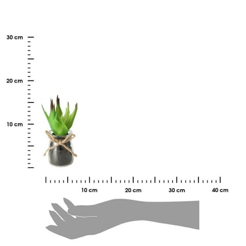 Komplet 3 roślin doniczkowych Eloise Wykonane z wysokiej jakości tworzywa sztucznego, w przezroczystych doniczkach, naturalny wy