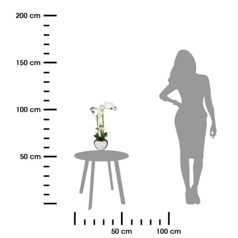 Orchidea w srebrnej doniczce 53 cmWykonana z wysokiej jakości tworzywa sztucznego, ceramiczna doniczka, doskonała imitacja prawd