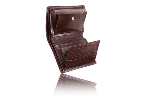 Skórzany portfel męski PPM2 BROWN