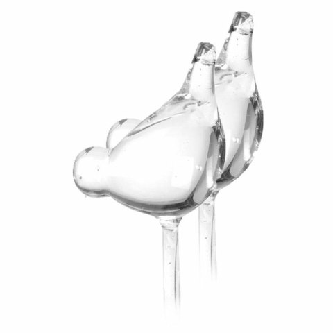 Nawadniacz do kwiatów Komplet 2 szt Wykonany ze szkła, przeźroczysty dozownik do nawodnienia roślin, nawadniacze w kształcie pta