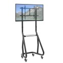 Stojak Mobilny LCD/LED 37-80, 80kg, z półką