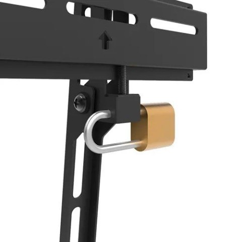 Uchwyt ścienny WL30-350BL14 do telewizorów od 32 do 65 cali