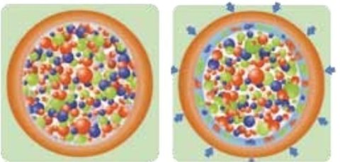 Nawóz do Trawy Jesienny BarFertile Late Barenbrug 20kg