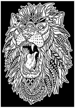 Kolorowanka Welwetowa A4 Ryk Lwa