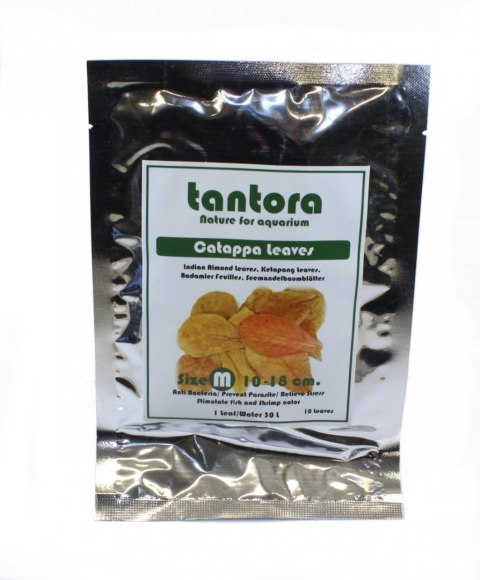 Tantora Cattapa Leaves Liście Ketapang M 10Szt.