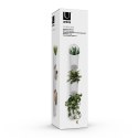 Dekoracja ścienna FLORALINK kolor biały umbra - WALLDECO/FLORALINK/VESSEL/WHITE