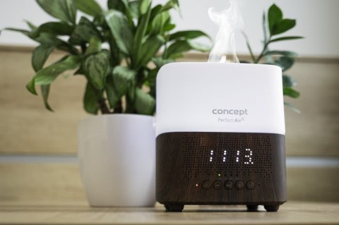 Dyfuzor zapachu Concept Perfect Air Dark Wood DF2011