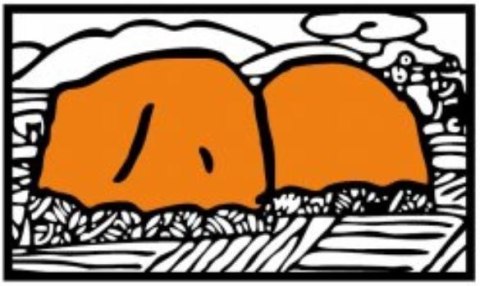 Plandeka Okryciowa 10x15 Srebrna GRUBA 160g/m2