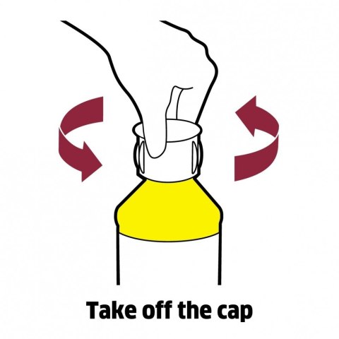 Środek do czyszczenia podłóg drewnianych olejowanych/woskowanych RM 535 6.295-942.0 0,5l