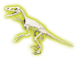 Skamieniałości Welociraptor