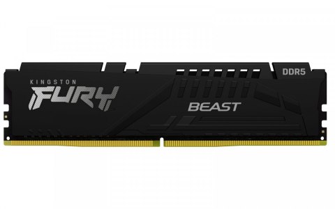 Pamięć DDR5 Fury Beast 16GB(1*16GB)/5600 CL36 EXPO czarna