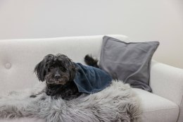 KERBL Ręcznik dla psa, 50x60cm, granatowy [80697]