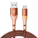 Kabel USB do USB-C Mcdodo Magnificence CA-7962 LED, 1m (pomarańczowy)