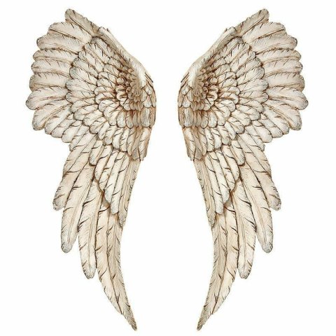 Skrzydła dekoracyjne ścienne wys 55 cm wykonanie polyresin, odcienie beżu, szerokość 21 cm