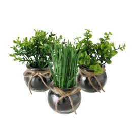 Komplet 3 roślin doniczkowych Freya Wykonane z wysokiej jakości tworzywa sztucznego, w przezroczystych doniczkach, naturalny wyg