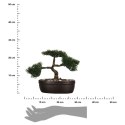 Drzewko bonsai w czarnej doniczce 23 cmSztuczna roślina w ceramicznej donicy, wykonana z tworzywa sztucznego, wysokość 23 cm