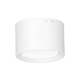 Downlight nowoczesny biały spot LED Wykonany z metalu, stylowy i nowoczesny spotlight sufitowy w kolorze białym z modułem LED 7 