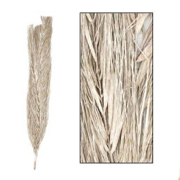 Suszona egzotyczna trawa bielona 100 cm Gałązka suszonej trawy egzotycznej w naturalnym, bielonym kolorze o długości 90-100 cm i