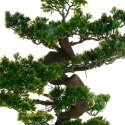 Drzewko bonsai w czarnej doniczce 80 cm Ozdobna sztuczna roślina, wykonana z wytrzymałego tworzywa sztucznego, szczegółowe odwzo