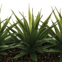 Aloes 3 sztuki sztuczne w donicyDekoracyjne rośliny wykonane z tworzywa sztucznego, w białej geometrycznej doniczce wyłożone kam
