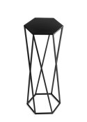 Kwietnik stojak na rośliny czarny 70 cm Wykonany z metalu, prosty i stylowy stojak na kwiatki w kolorze czarnym