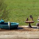 Poidełko dla ptaków karmnik z terakoty Ozdoba ogrodowa pełniąca funkcję poidła, karmika czy też wanienki dla ptaszków wykonana z
